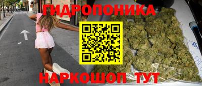 гашик Канаш