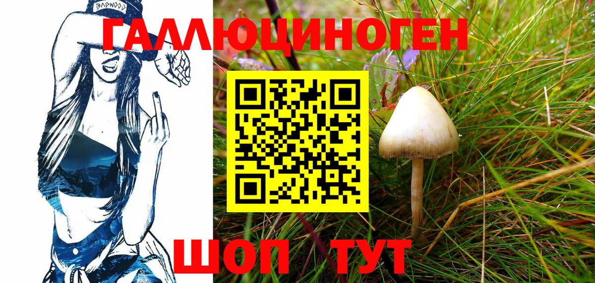 где продают наркотики  Галлюциногенные грибы MAGIC MUSHROOMS  Вход с VPN  Галлюциногенные грибы Psilocybine cubensis  Великий Устюг 